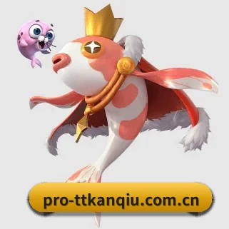 专业赛事服务, 为你而来